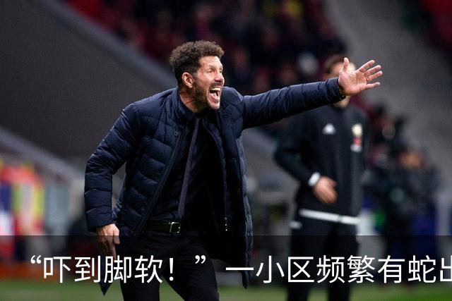 “吓到脚软！”一小区频繁有蛇出没，还有眼镜蛇；专家：居住区垃圾为蛇类间接提供食物