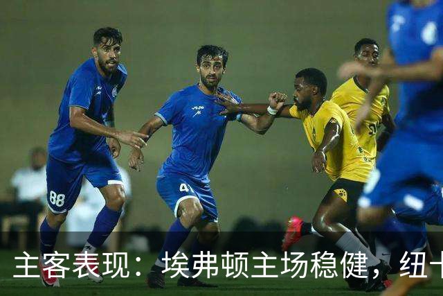 主客表现：埃弗顿主场稳健，纽卡斯尔联客场起伏