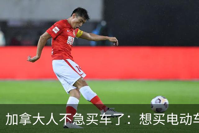 加拿大人不急买车了：想买电动车的人里 42%说等中国车到了再说
