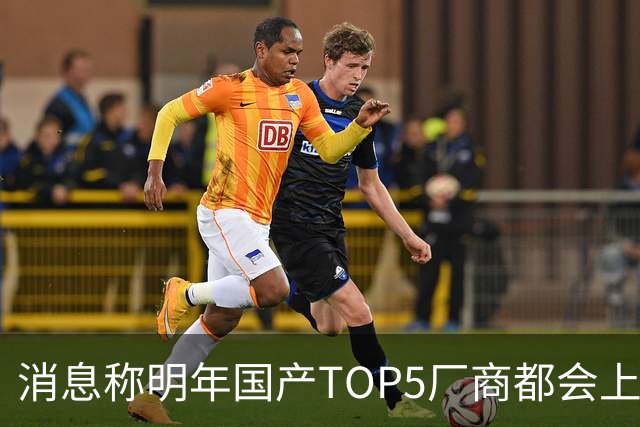 消息称明年国产TOP5厂商都会上阔直板新机，目前全部立项完成
