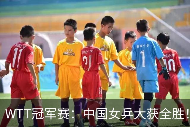 WTT冠军赛：中国女乒大获全胜！16强占6个席位，陈幸同剃对手光头